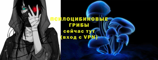 a pvp Богданович