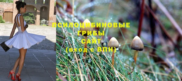 прущий лед Богородск