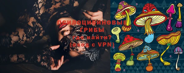 a pvp Богданович