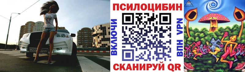 Псилоцибиновые грибы MAGIC MUSHROOMS Сковородино